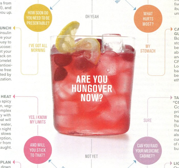 Hangover Whole Living